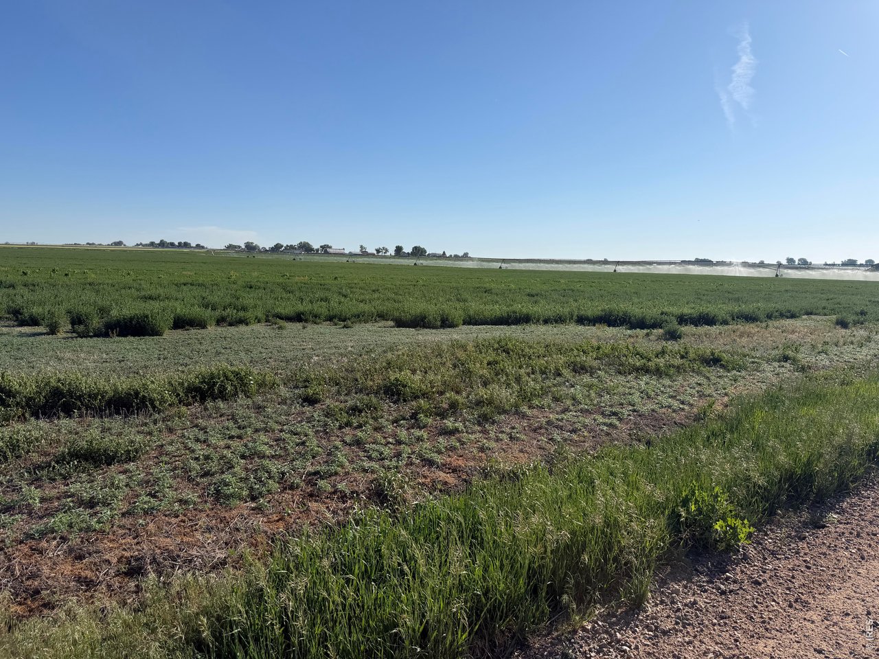 70 County Road Eaton, CO 80615 - Photo 17 of 17