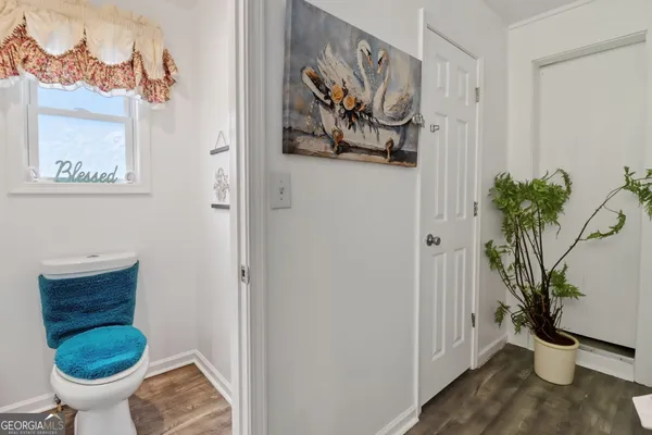 a bathroom with a toilet and a plant