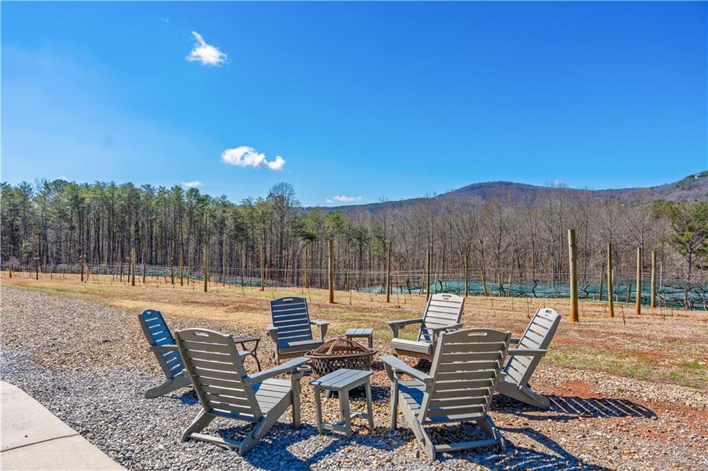 110 Rathgeb Trail Jasper, GA 30143 - Photo 28 of 62 a view of swimming pool with lounge chair