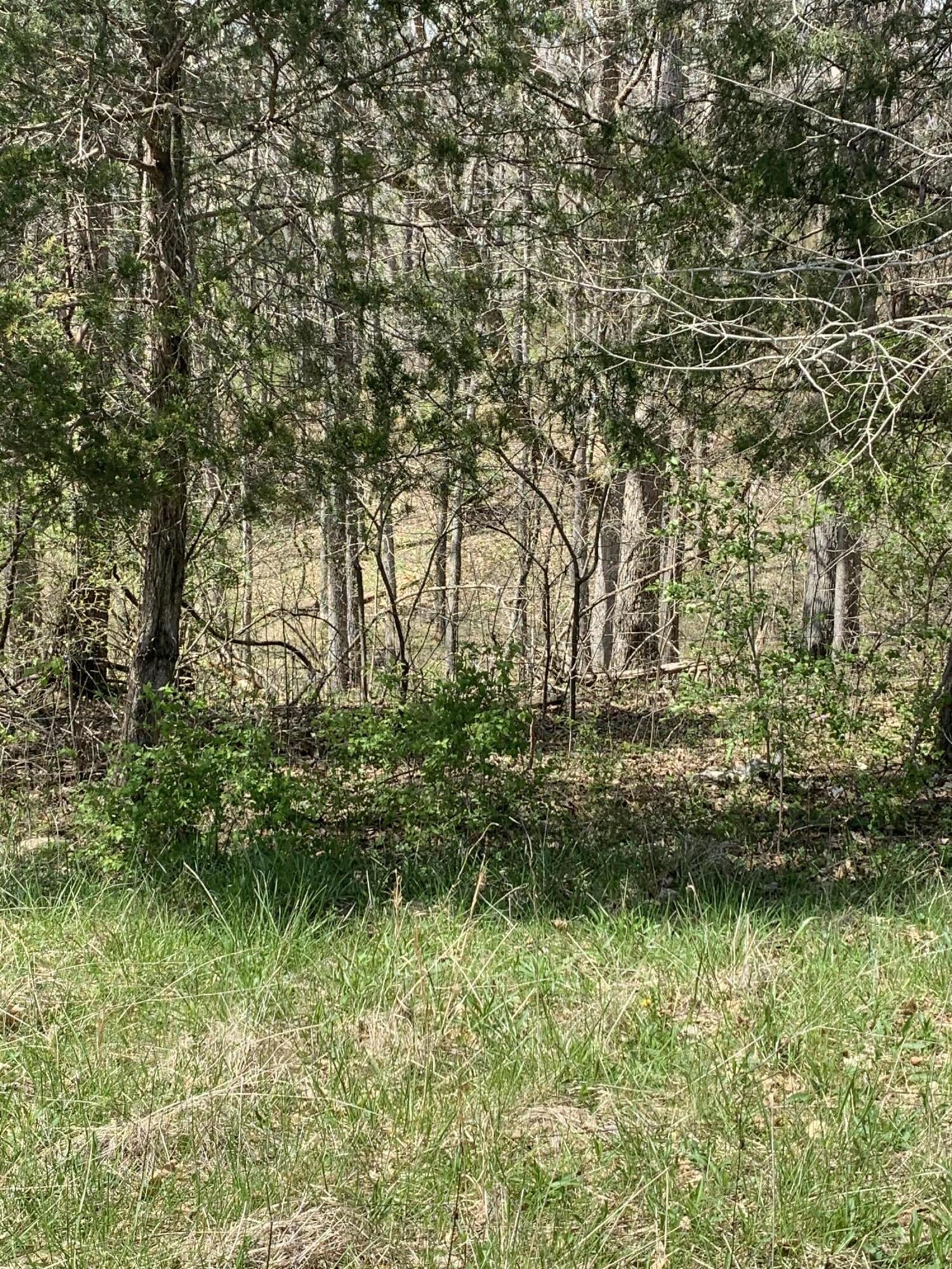 1000 Britton Road Harrodsburg, KY 40330 - Photo 54 of 88 AC53CA50-453D-4FCE-82A8-5F289FA6D83A