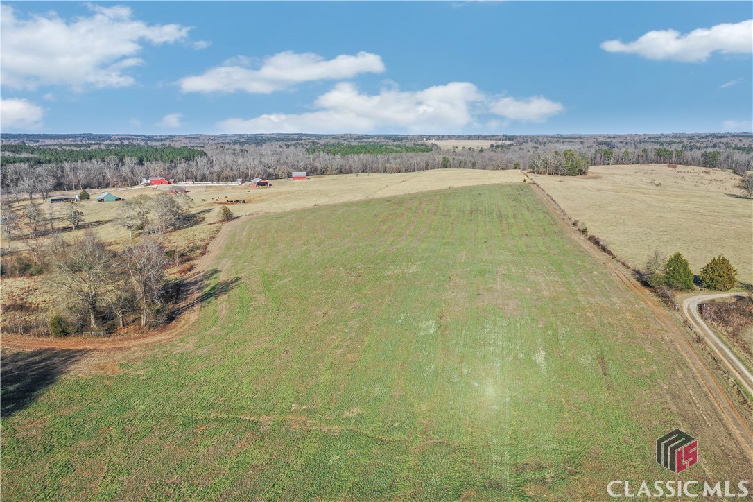 Lot 5 Sandy Creek Road Madison, GA 30650 - Photo 6 of 23