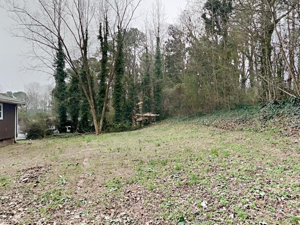 2322 Chestnut Log Loop Lithia Springs, GA 30122 - Photo 17 of 19