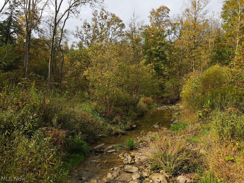 Headley Ridge Road Beallsville, OH 43716 - Photo 2 of 13