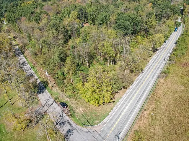 a view of a forest from a window