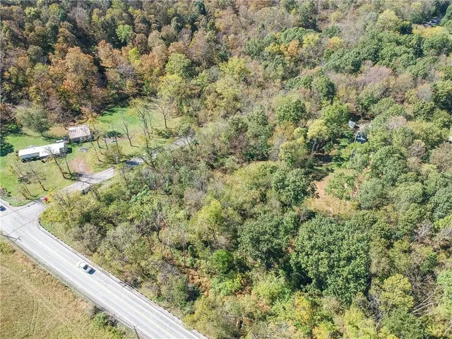 a view of a forest from a window