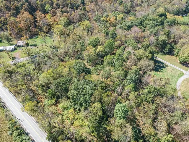 a view of a forest with a street