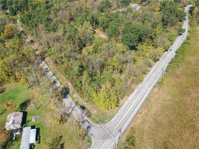 a view of a forest from a balcony