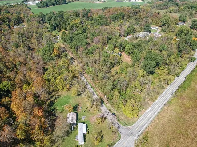 a view of a forest from a balcony