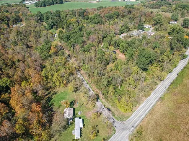 a view of a forest from a balcony