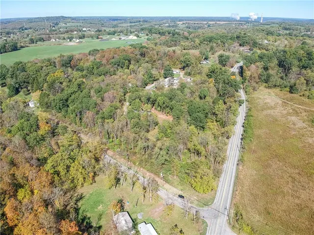 a view of a forest with an outdoor space