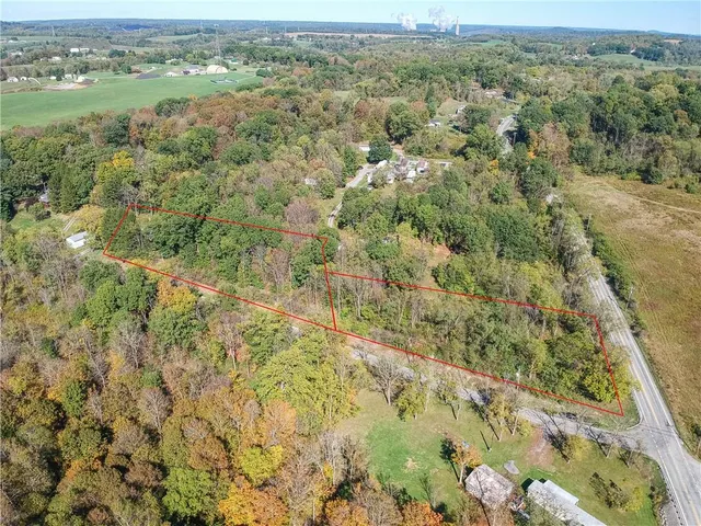 an aerial view of forest