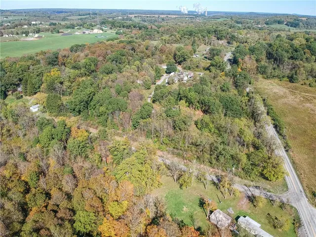 an aerial view of forest