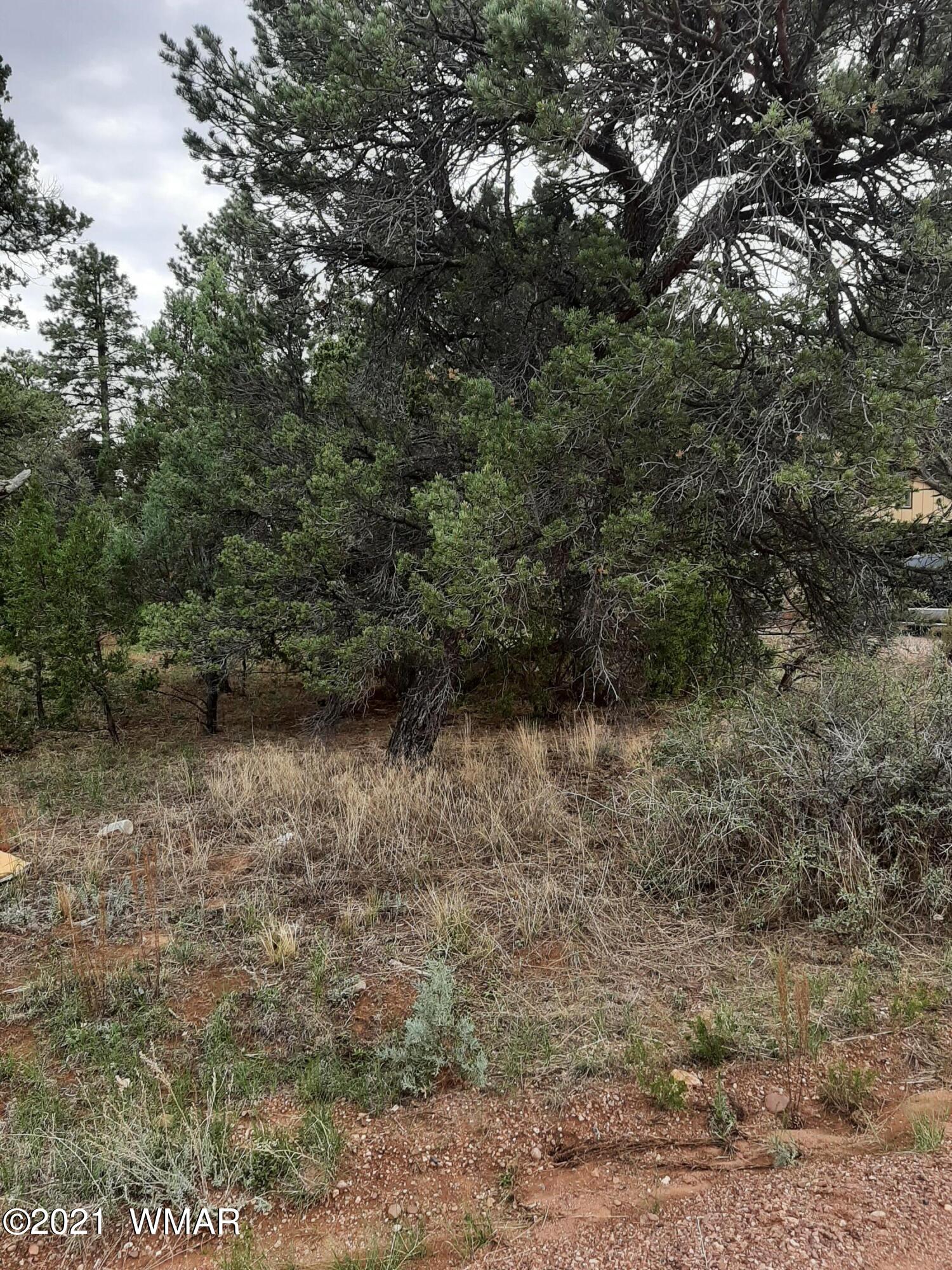 2139 Wildflower Road Overgaard, AZ 85933 - Photo 2 of 3