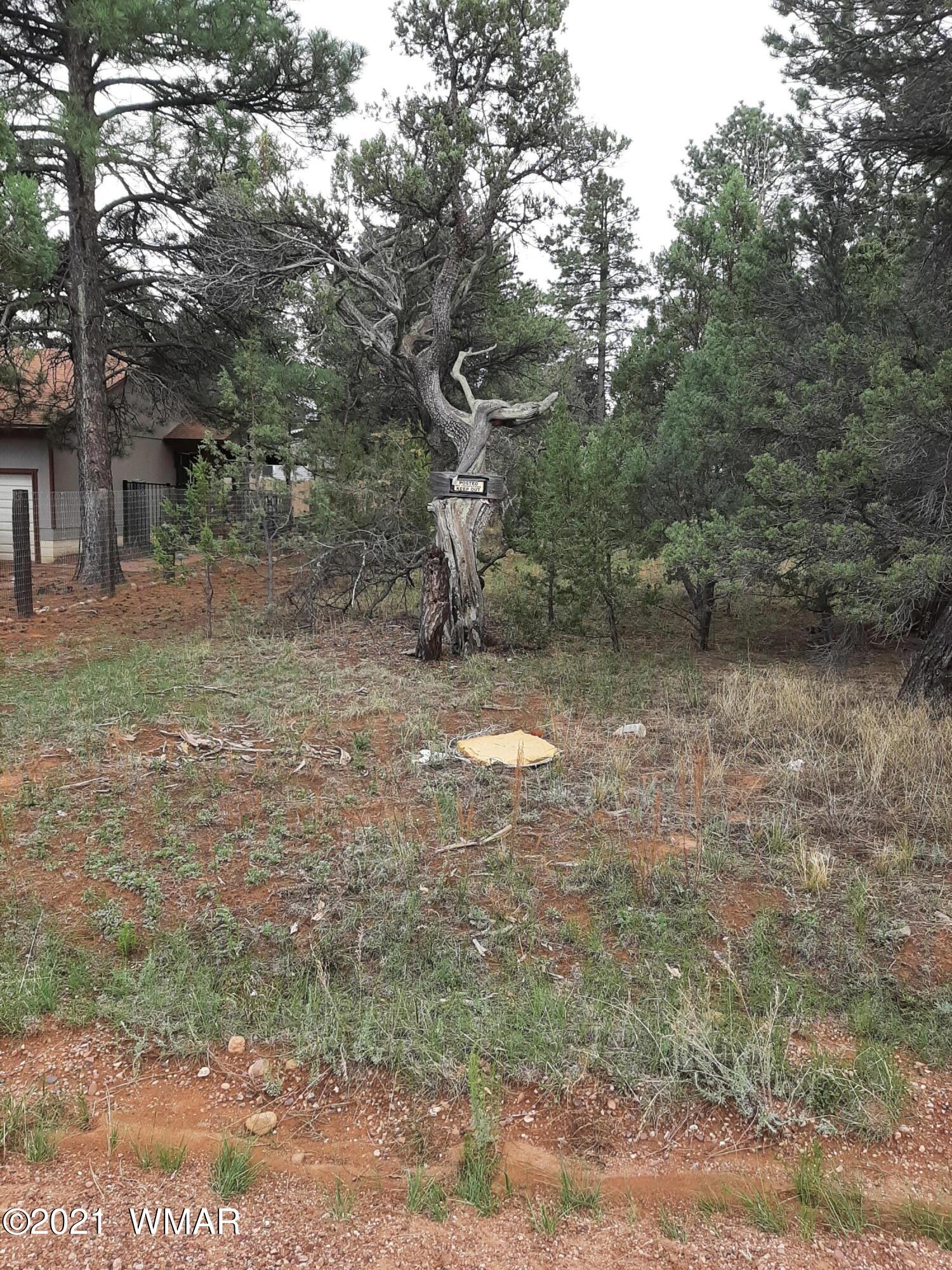 2139 Wildflower Road Overgaard, AZ 85933 - Photo 3 of 3
