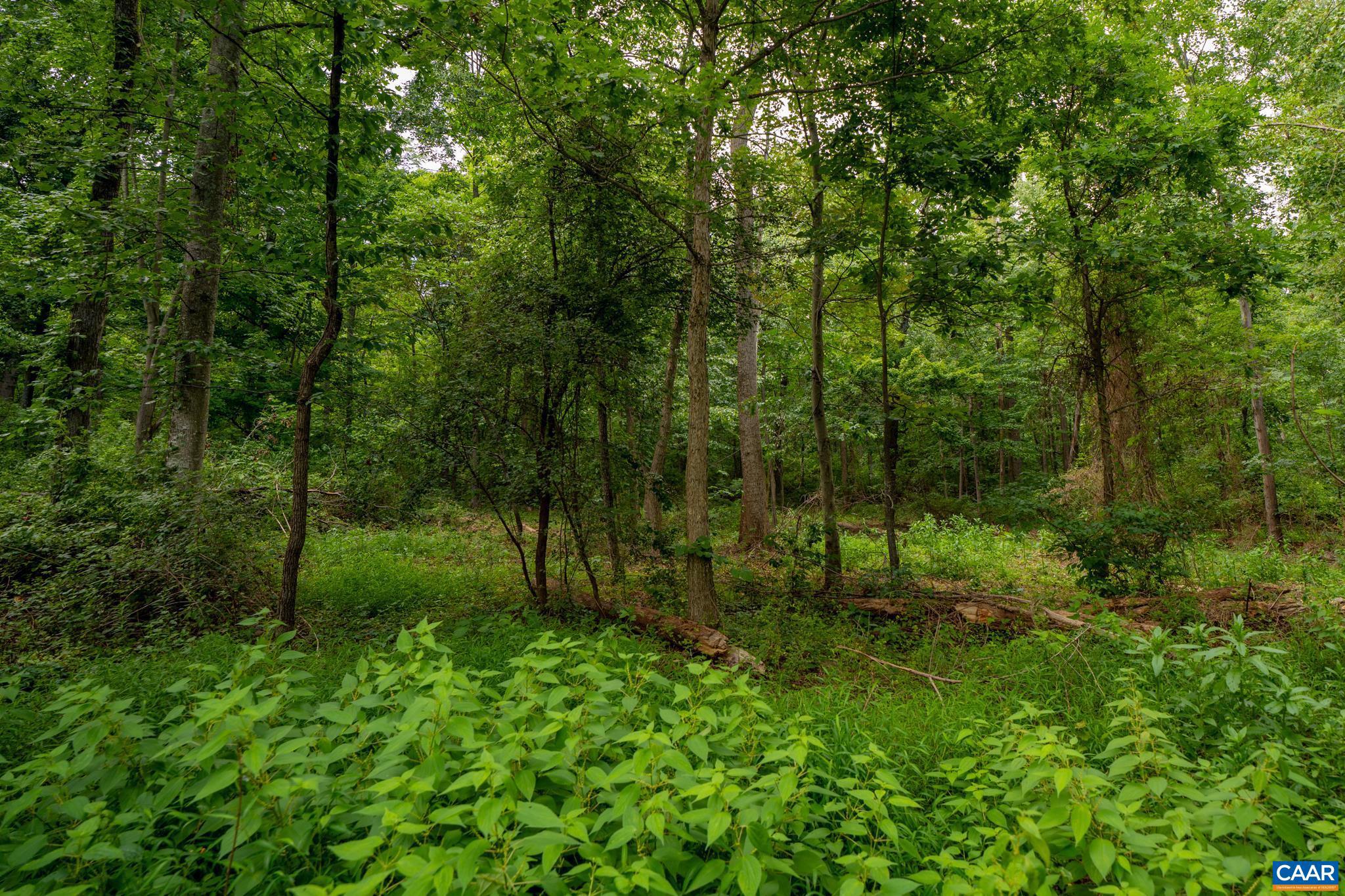 Tbd North Frog Hollow Road Winchester, VA 22603 - Photo 32 of 49 Gallery Image 32