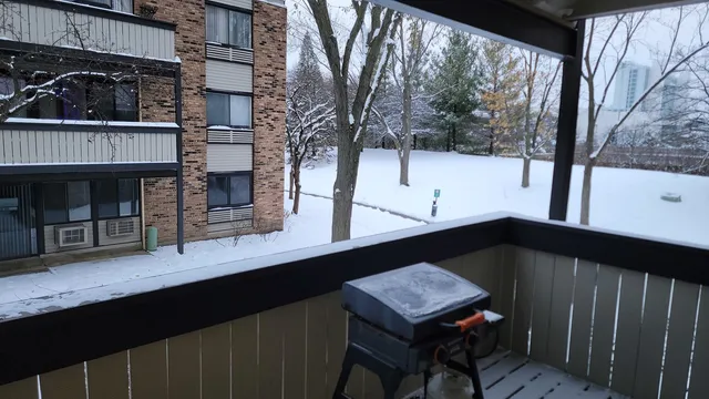 $142,500 | 1810 Hemlock Place, Unit 209, Schaumburg, IL 60173