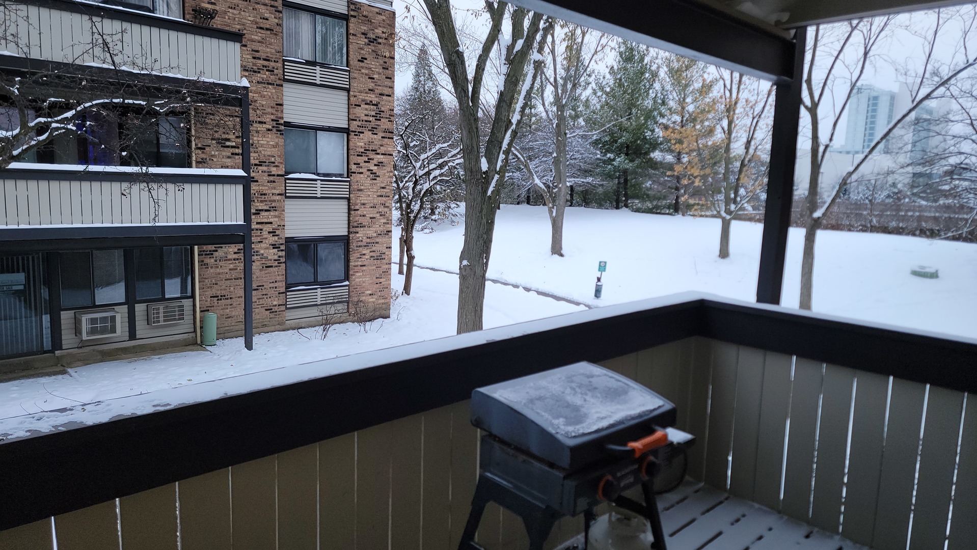 1810 Hemlock Place, Unit 209 Schaumburg, IL 60173 - Photo 6 of 13 a view of a two chairs in the balcony
