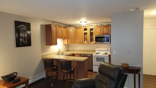 $142,500 | 1810 Hemlock Place, Unit 209, Schaumburg, IL 60173