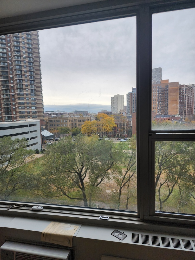 3600 North Lake Shore Drive, Unit 622 Chicago, IL 60613 - Photo 19 of 25