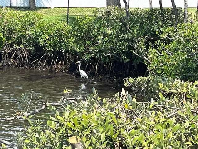 a wooden bench sitting next to a lake view