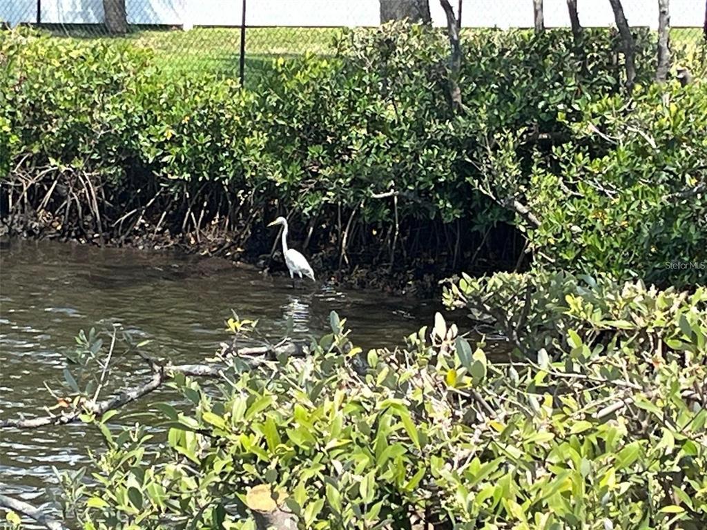 4901 Onyx Lane, Unit 204 New Port Richey, FL 34652 - Photo 38 of 46 a view of a garden with a bench
