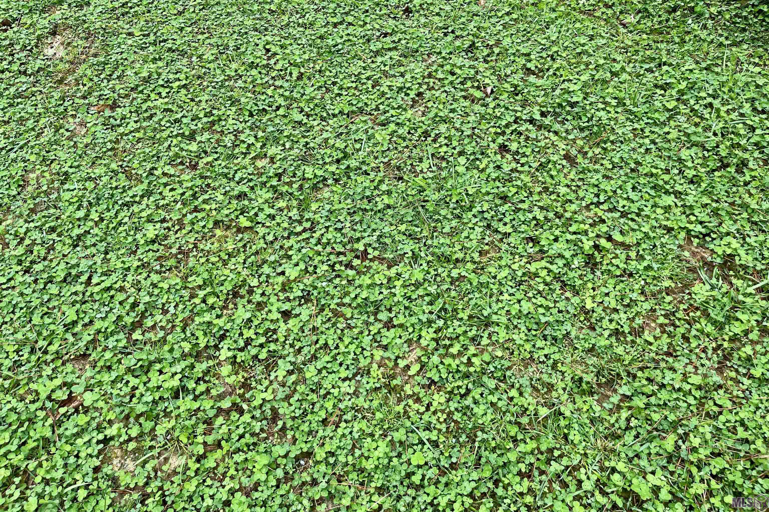 10078 Old Port Gibson Road Hermanville, MS 39086 - Photo 11 of 48