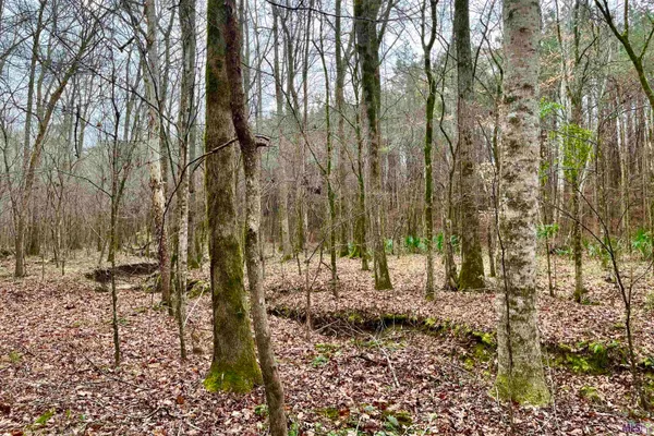 $889,000 | 10078 Old Port Gibson Road, Hermanville, MS 39086