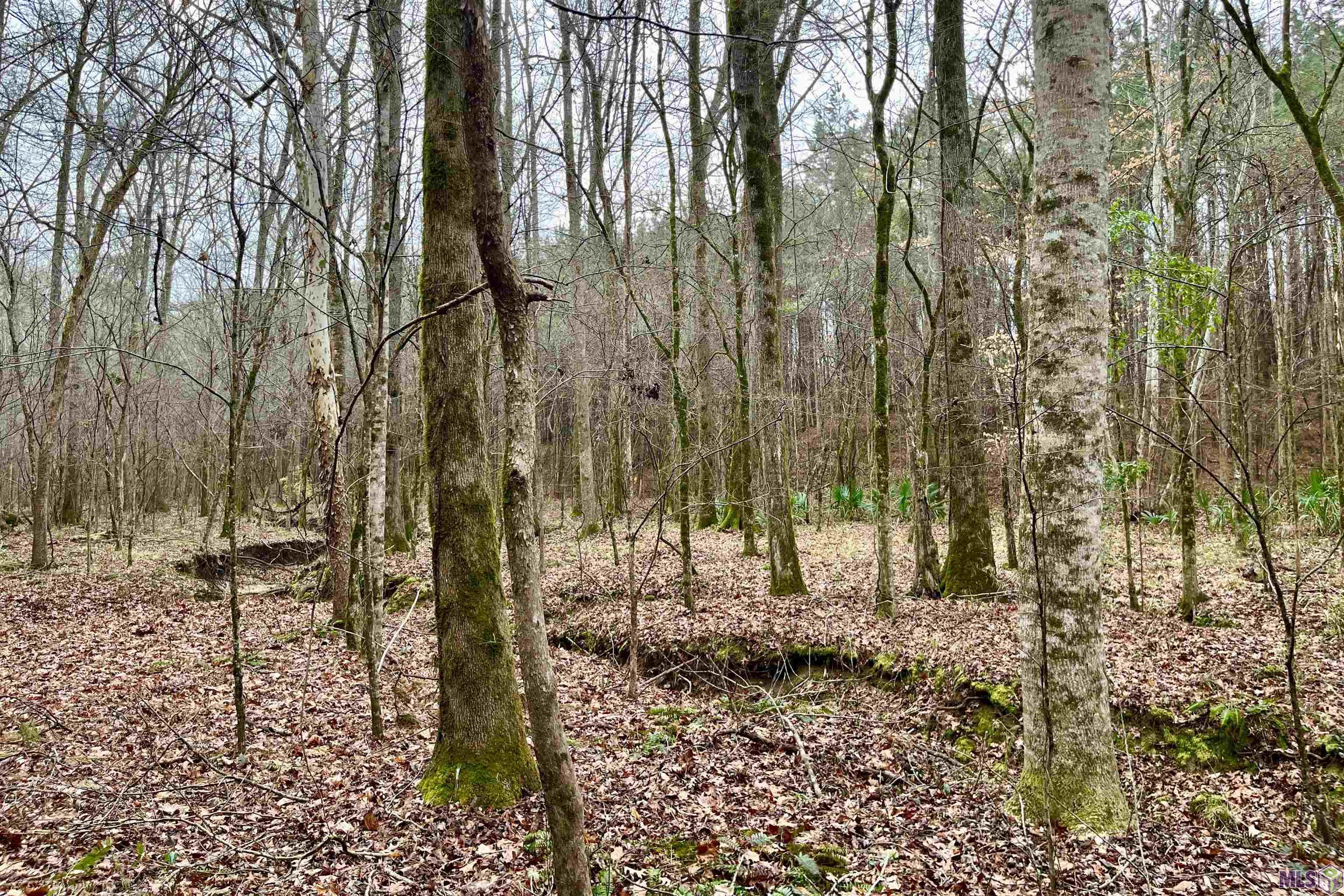 10078 Old Port Gibson Road Hermanville, MS 39086 - Photo 12 of 48