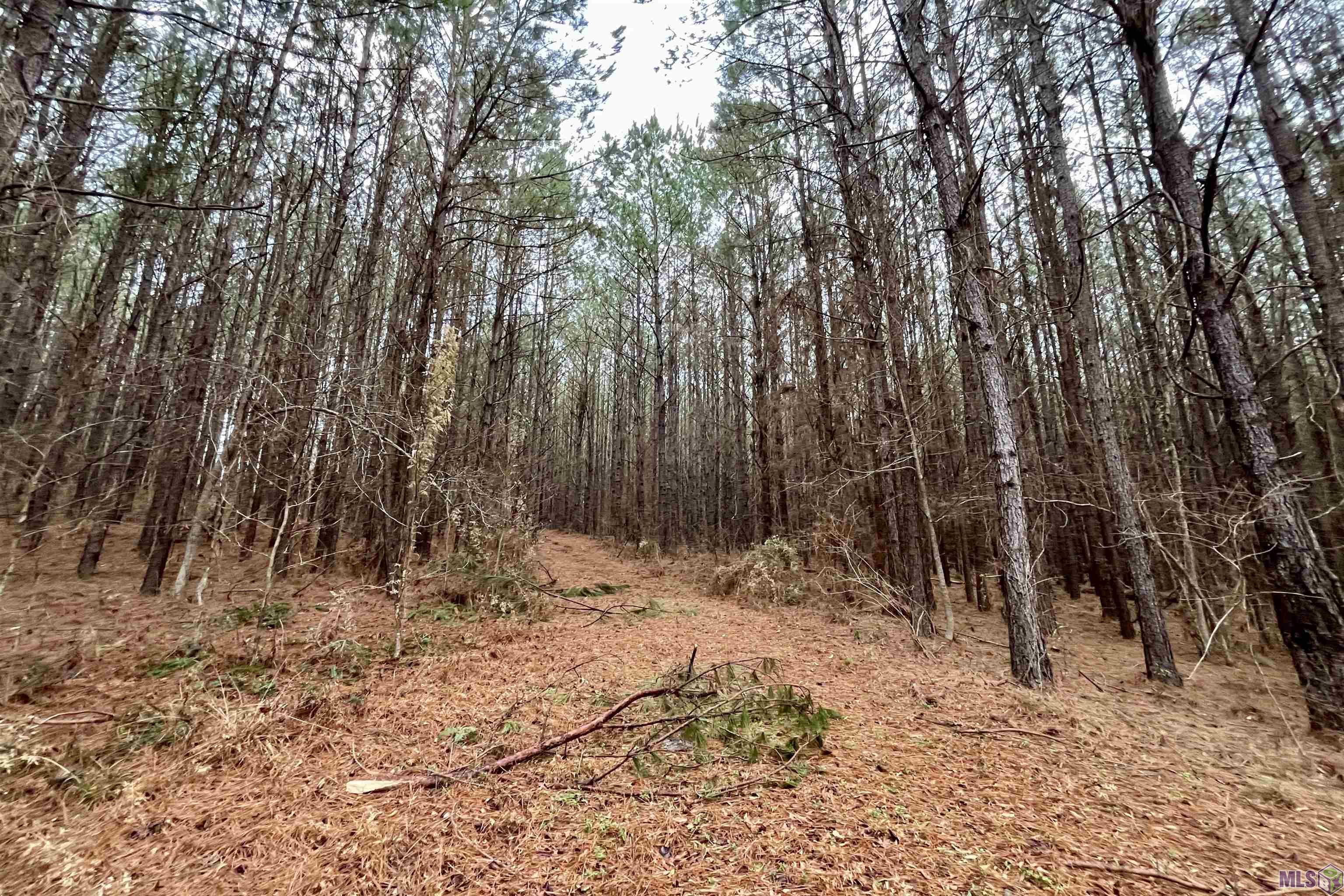 10078 Old Port Gibson Road Hermanville, MS 39086 - Photo 13 of 48