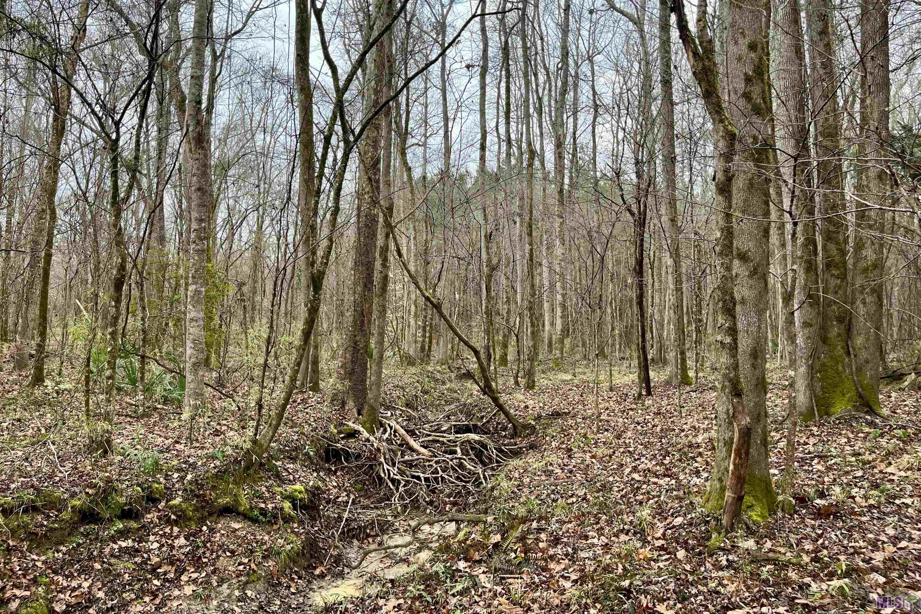 10078 Old Port Gibson Road Hermanville, MS 39086 - Photo 14 of 48