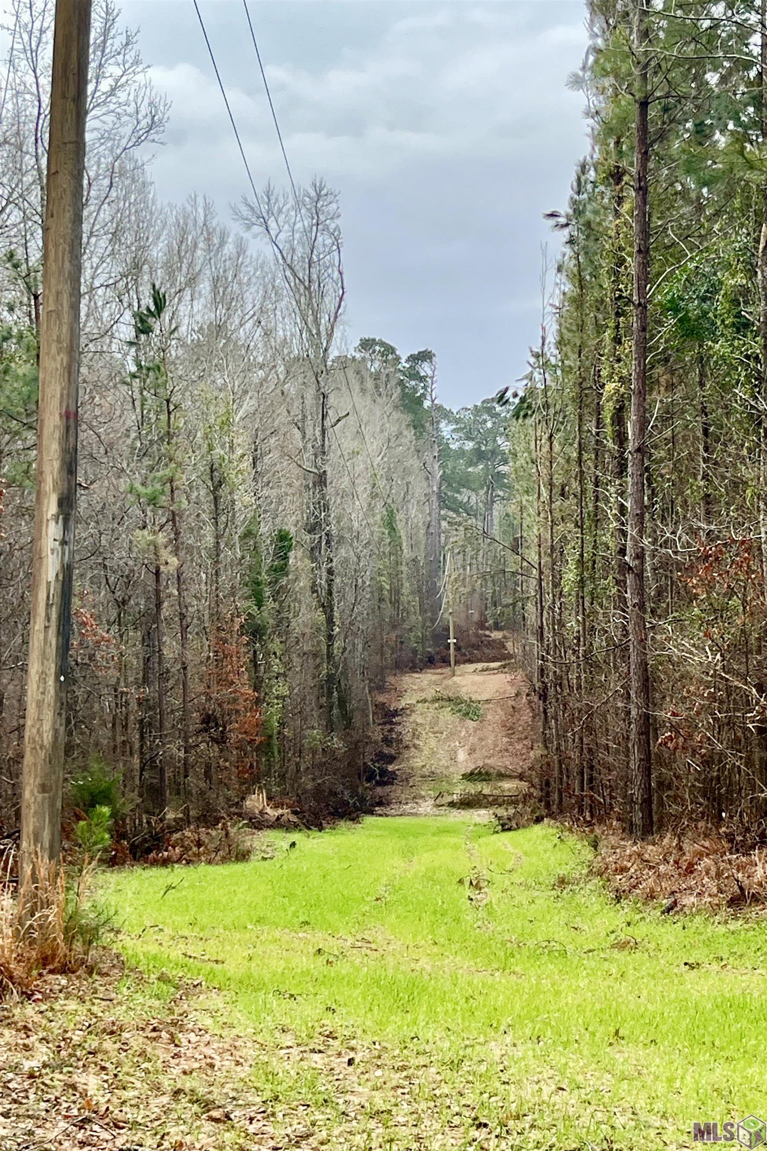 10078 Old Port Gibson Road Hermanville, MS 39086 - Photo 15 of 48