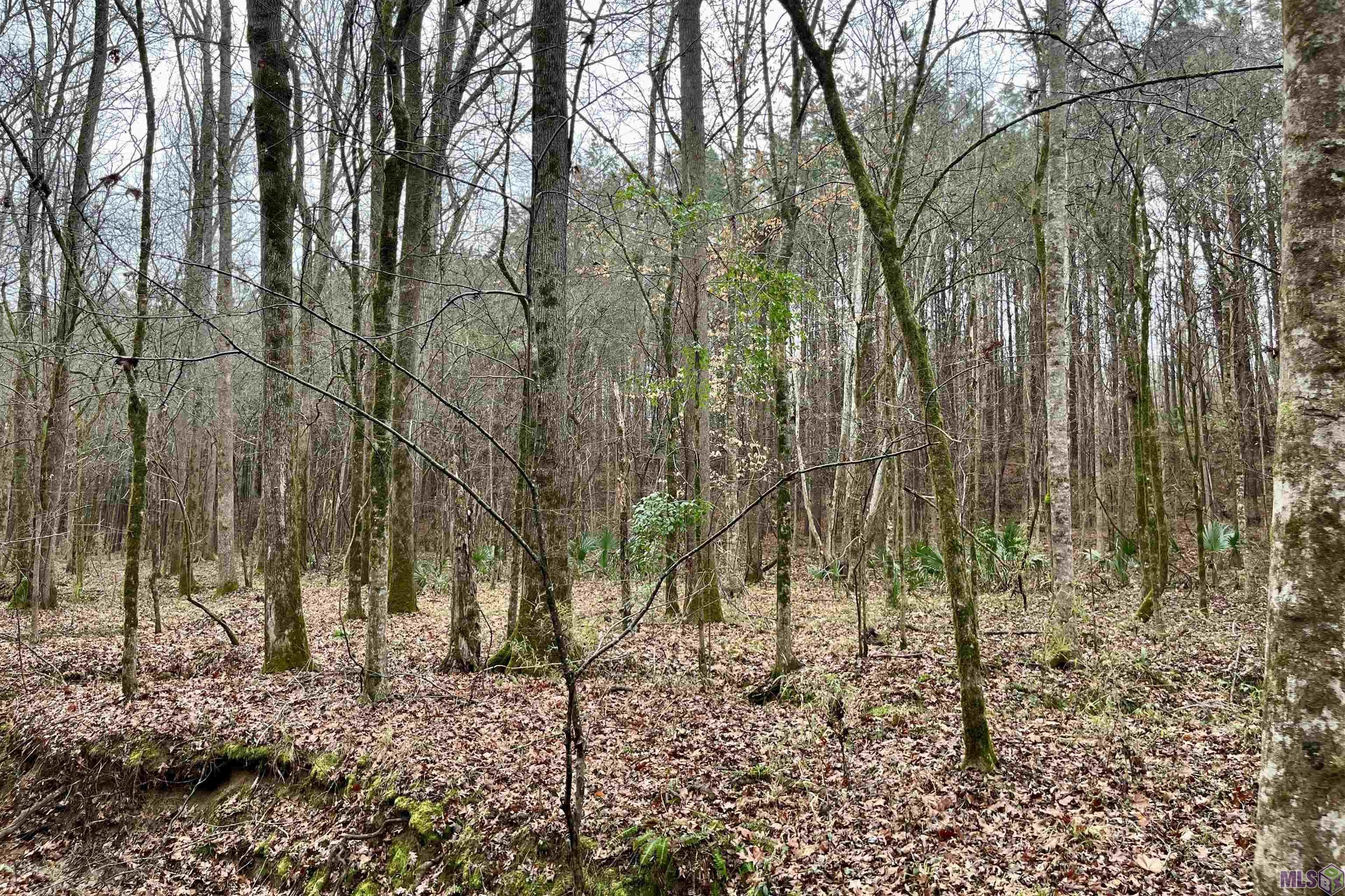 10078 Old Port Gibson Road Hermanville, MS 39086 - Photo 16 of 48