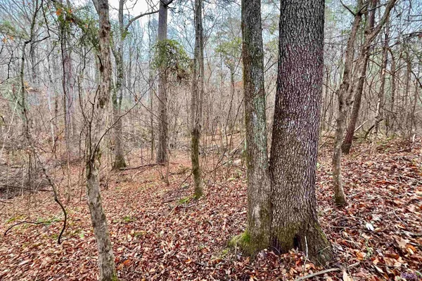 $889,000 | 10078 Old Port Gibson Road, Hermanville, MS 39086