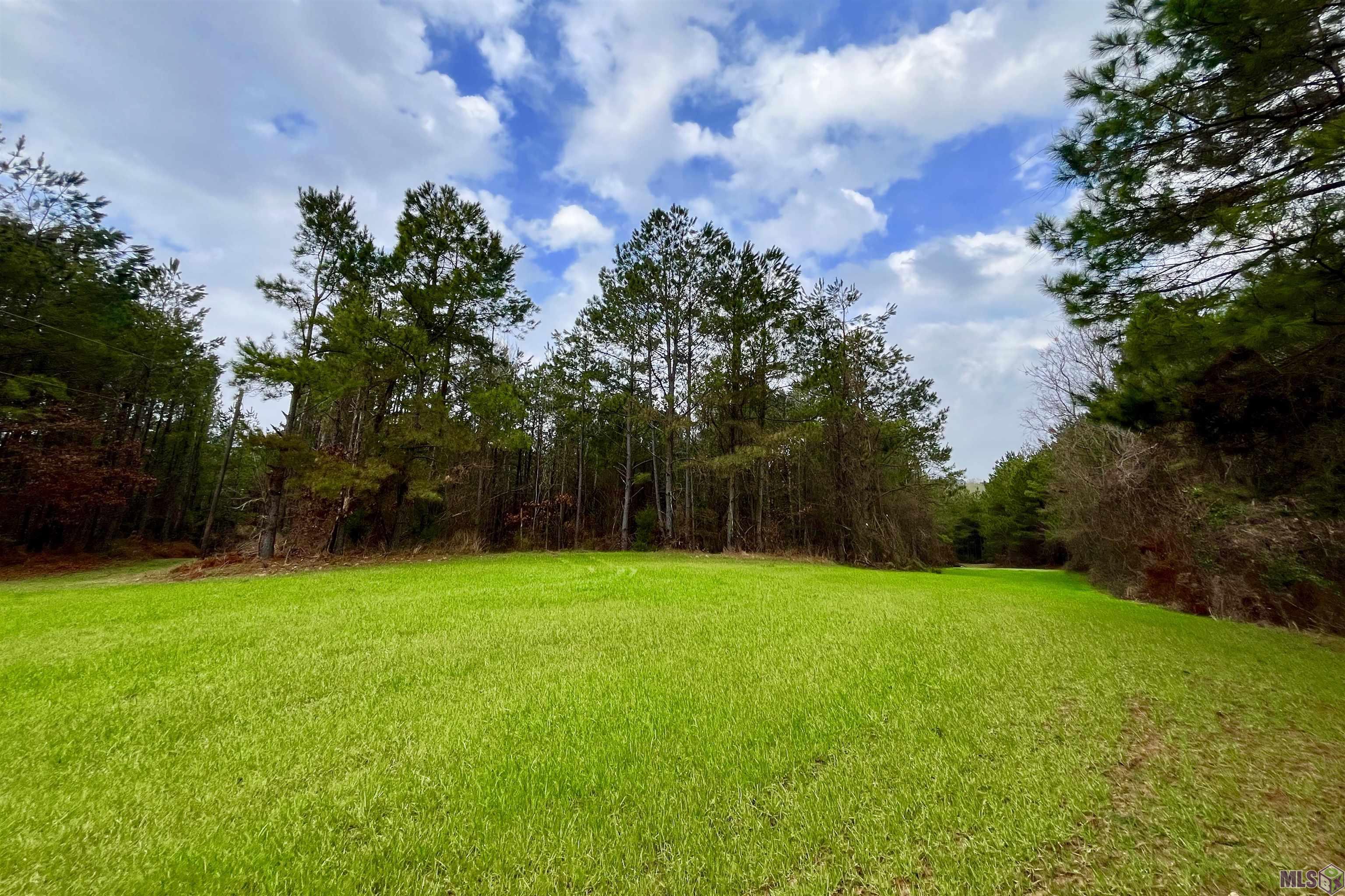 10078 Old Port Gibson Road Hermanville, MS 39086 - Photo 26 of 48