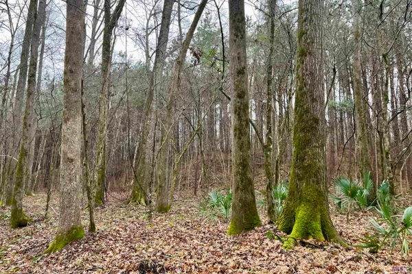 $889,000 | 10078 Old Port Gibson Road, Hermanville, MS 39086
