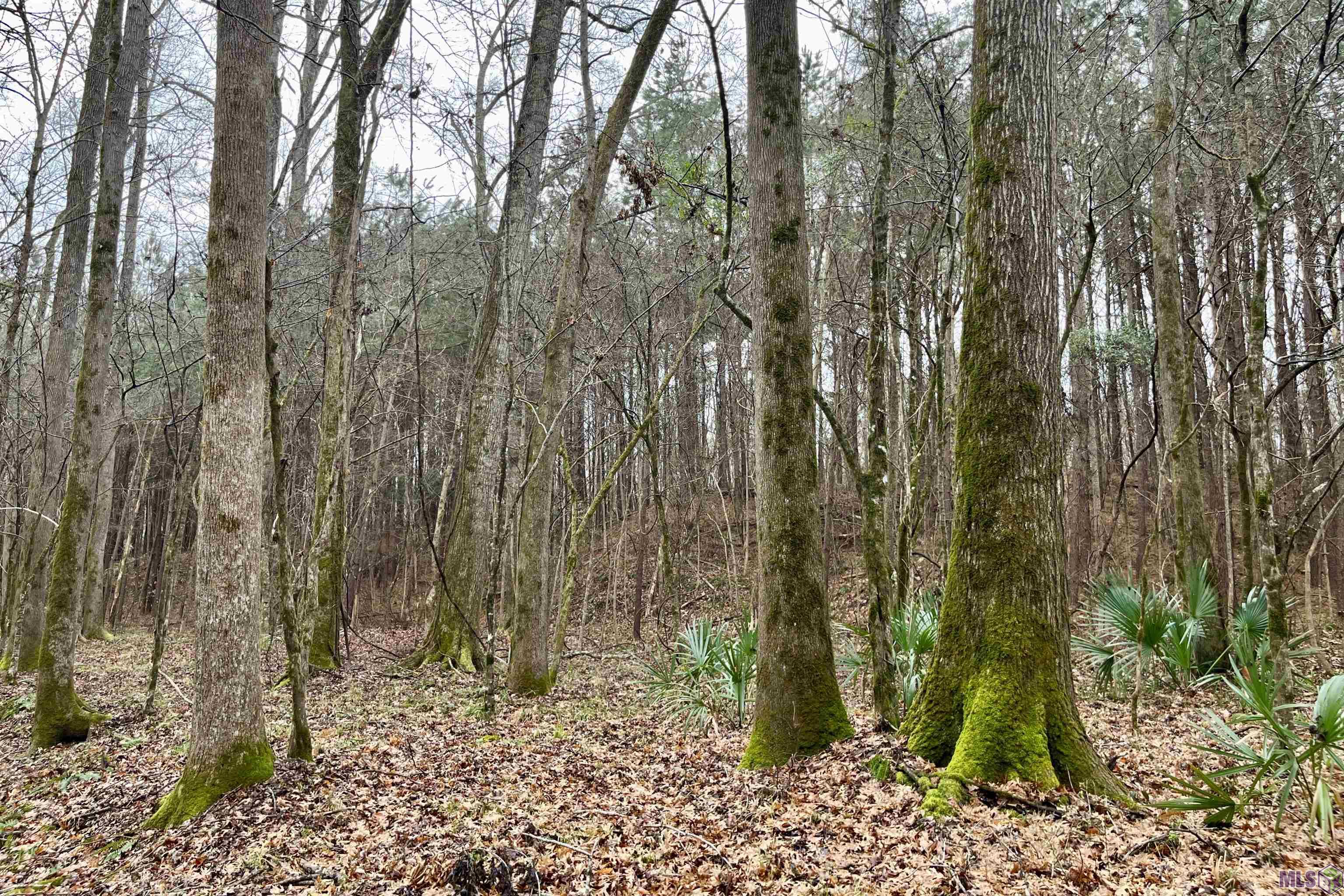 10078 Old Port Gibson Road Hermanville, MS 39086 - Photo 27 of 48