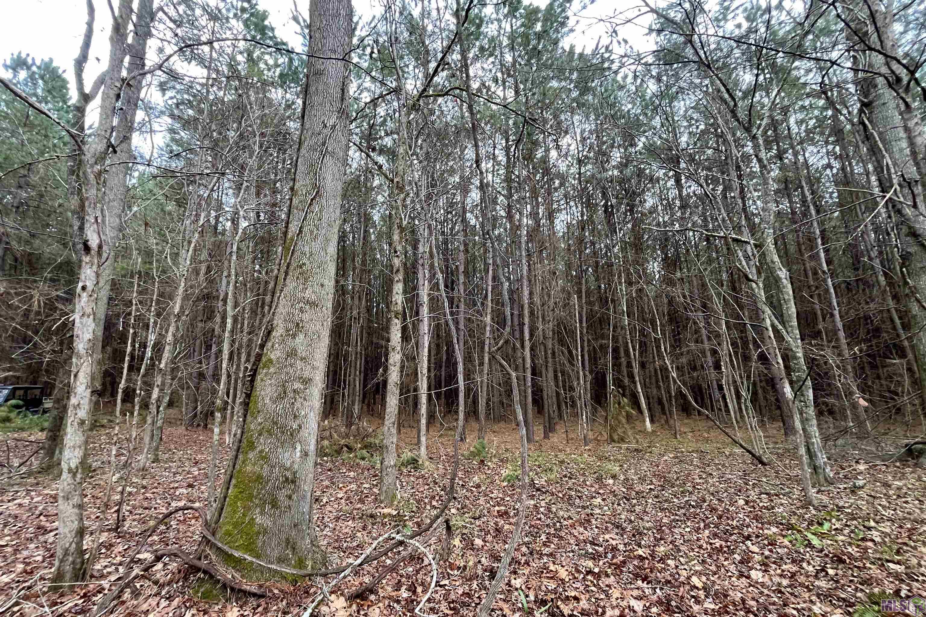 10078 Old Port Gibson Road Hermanville, MS 39086 - Photo 28 of 48