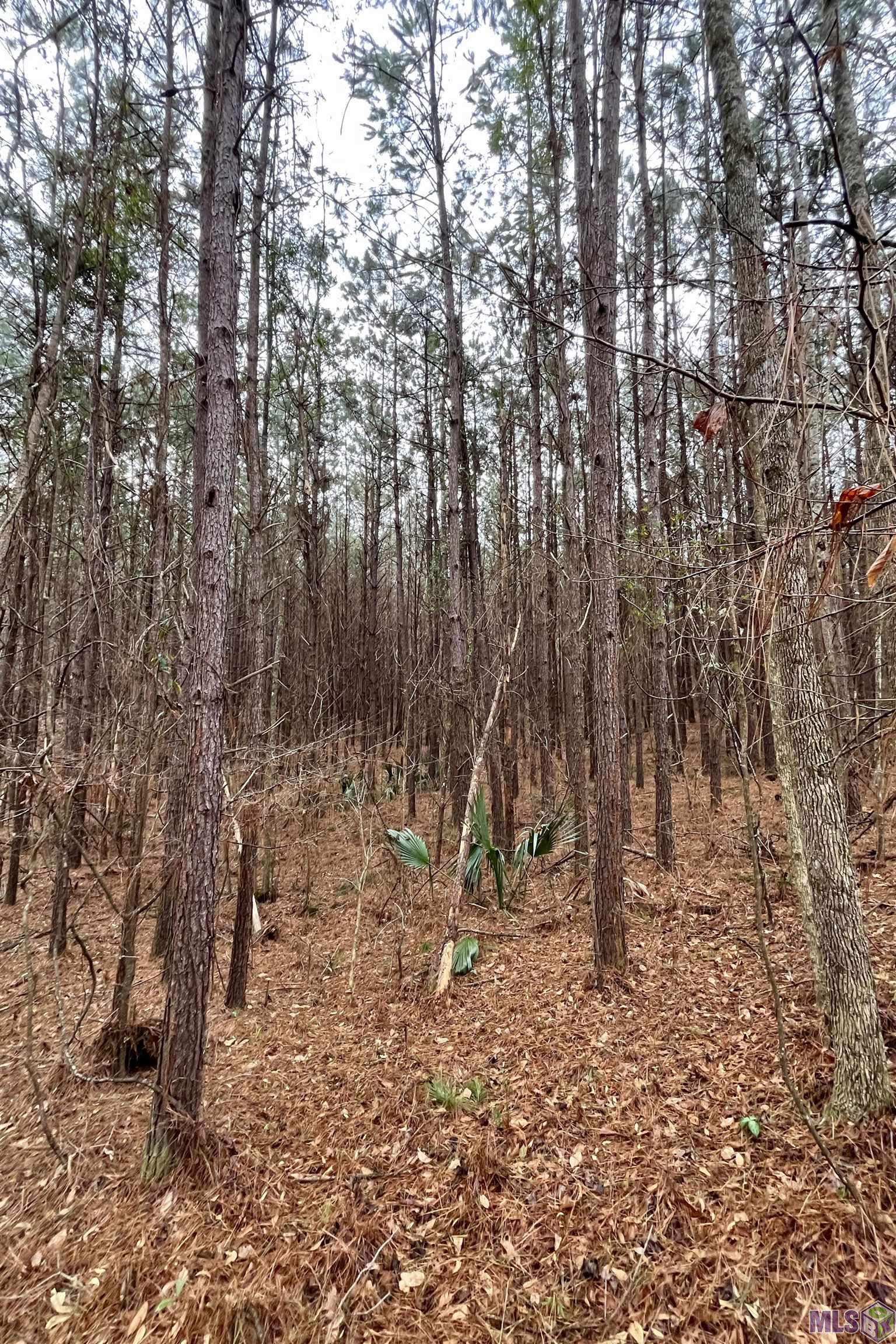 10078 Old Port Gibson Road Hermanville, MS 39086 - Photo 30 of 48