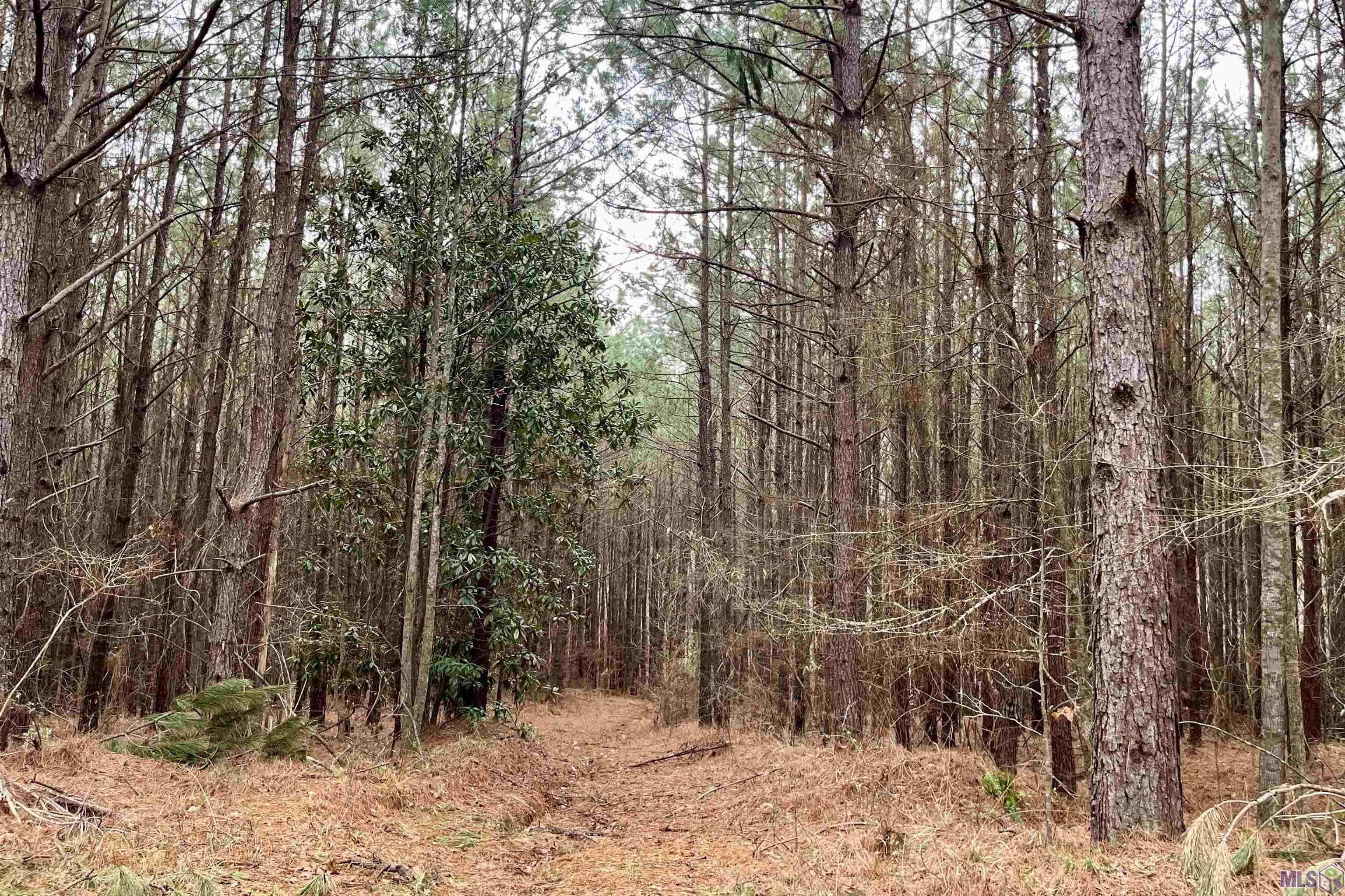 10078 Old Port Gibson Road Hermanville, MS 39086 - Photo 3 of 48