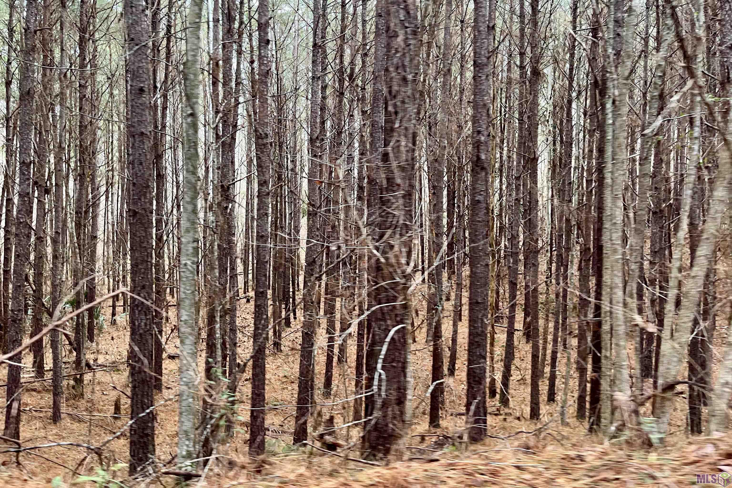 10078 Old Port Gibson Road Hermanville, MS 39086 - Photo 31 of 48