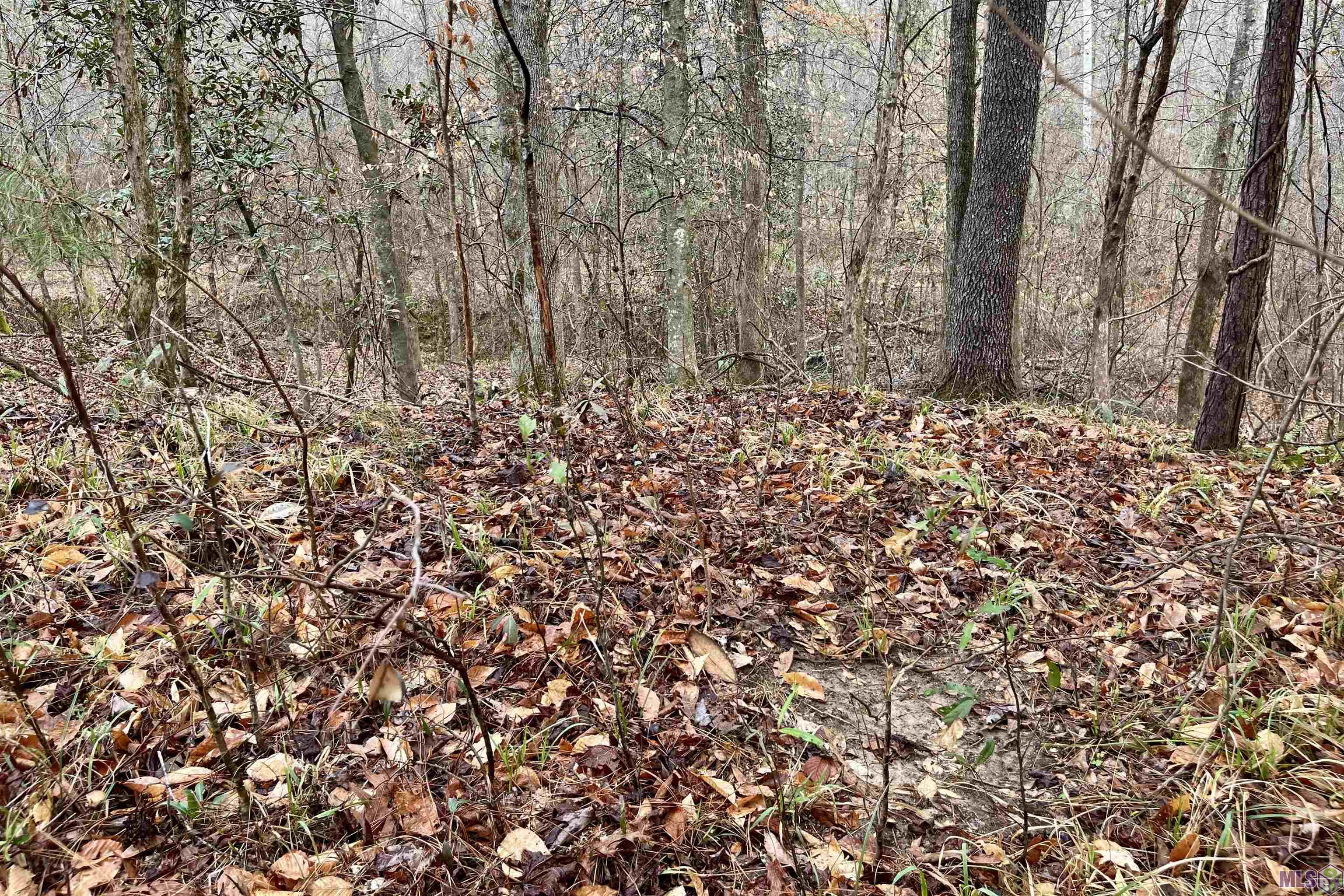 10078 Old Port Gibson Road Hermanville, MS 39086 - Photo 33 of 48