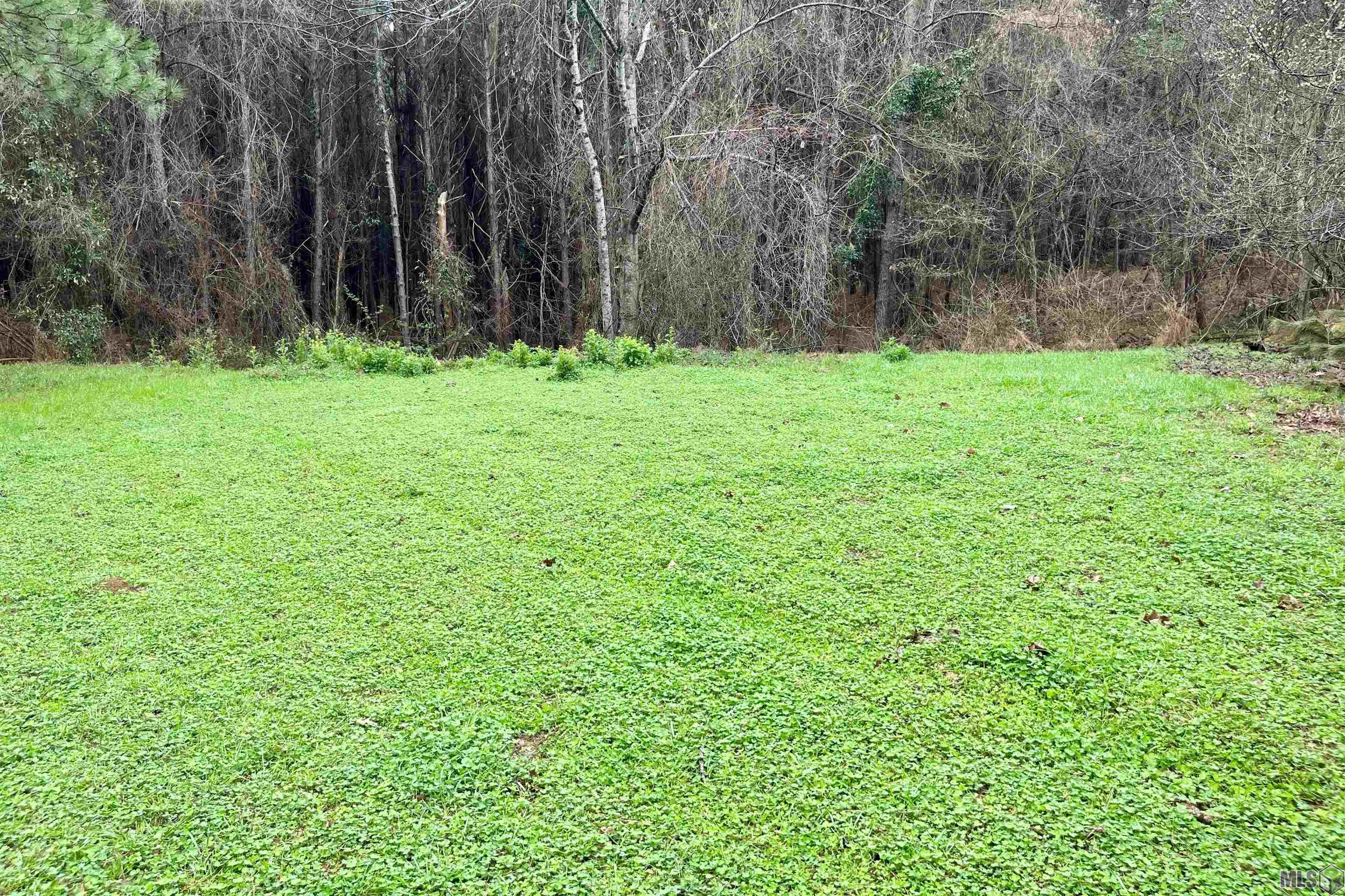 10078 Old Port Gibson Road Hermanville, MS 39086 - Photo 34 of 48