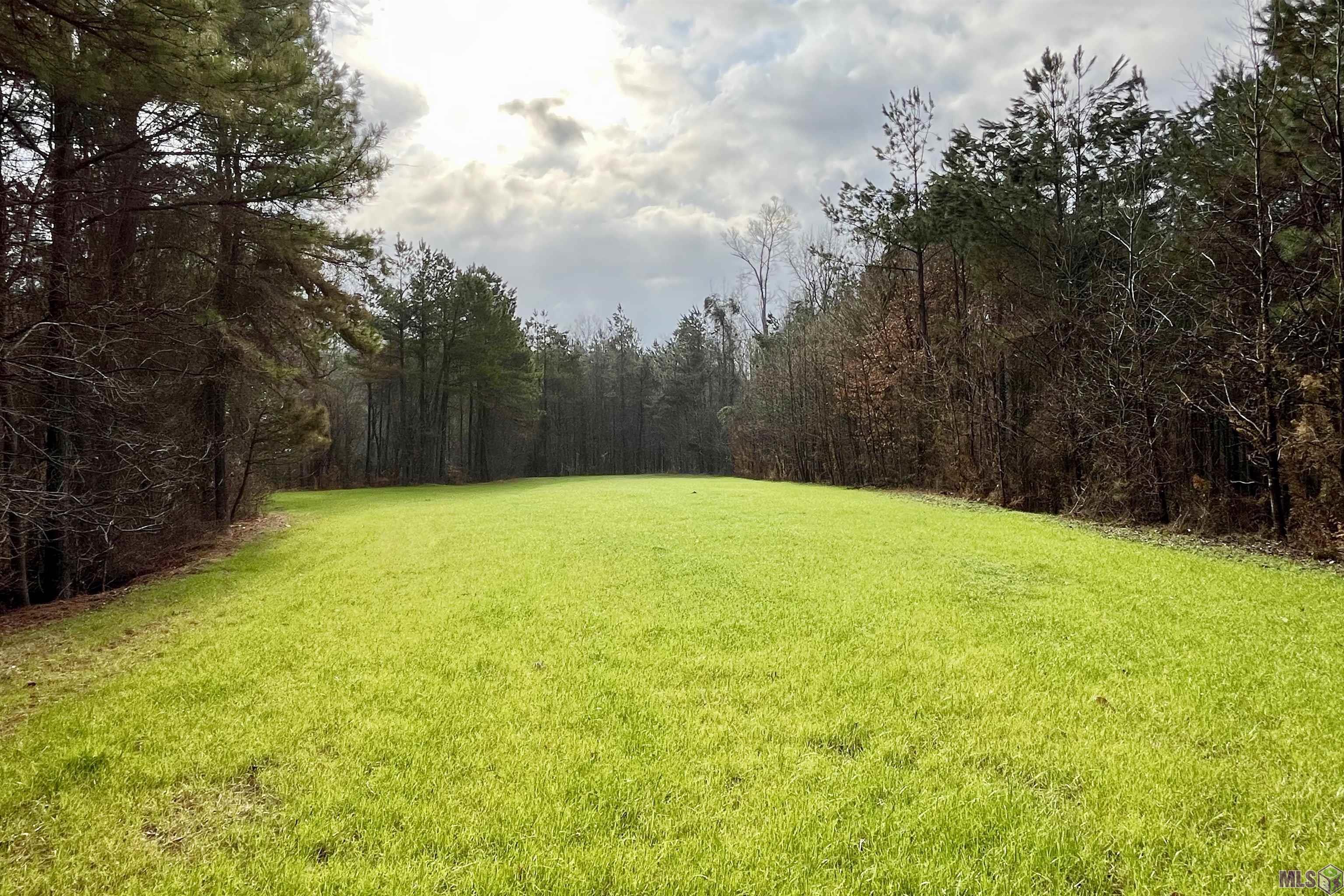 10078 Old Port Gibson Road Hermanville, MS 39086 - Photo 36 of 48