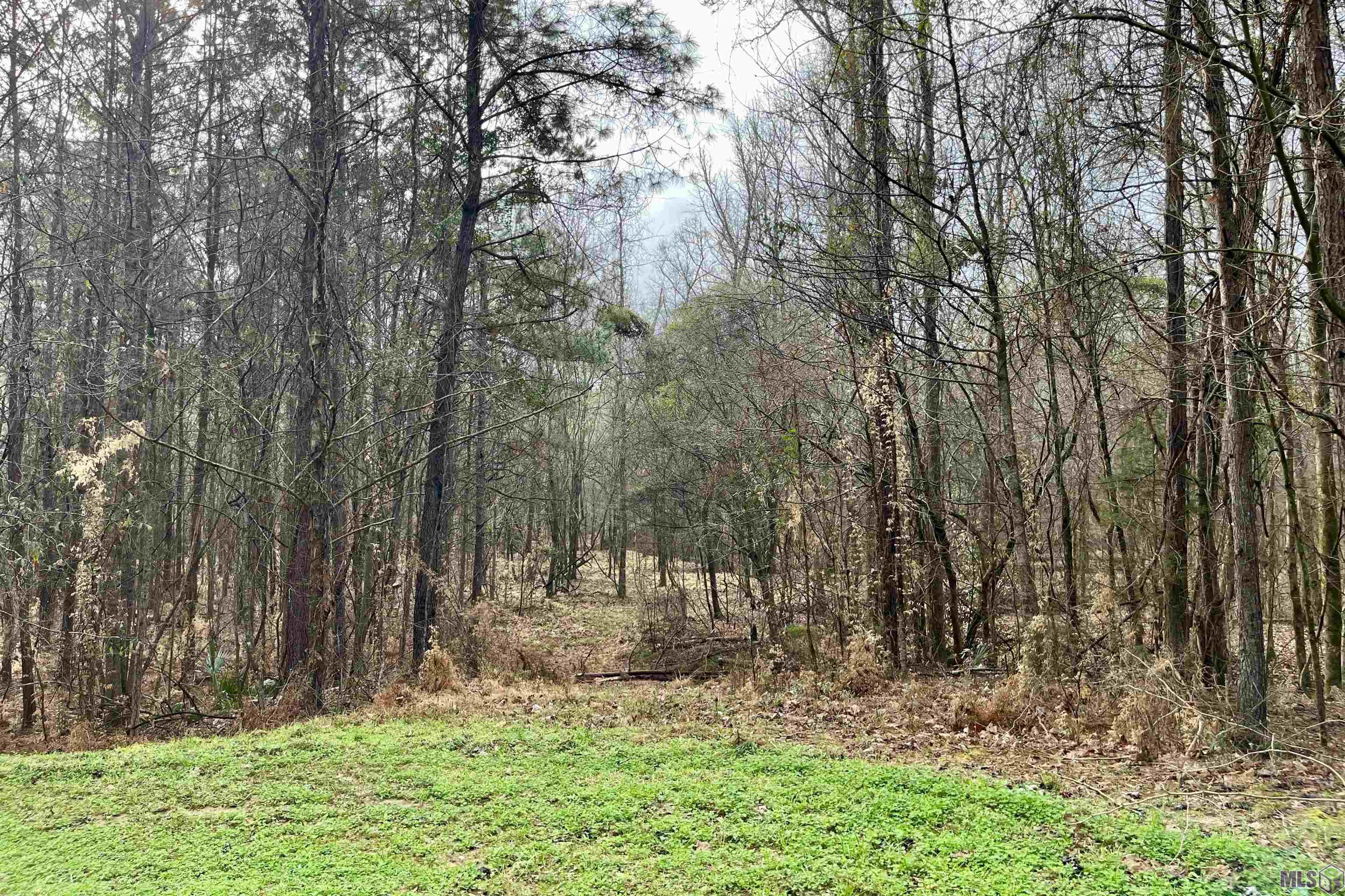 10078 Old Port Gibson Road Hermanville, MS 39086 - Photo 37 of 48