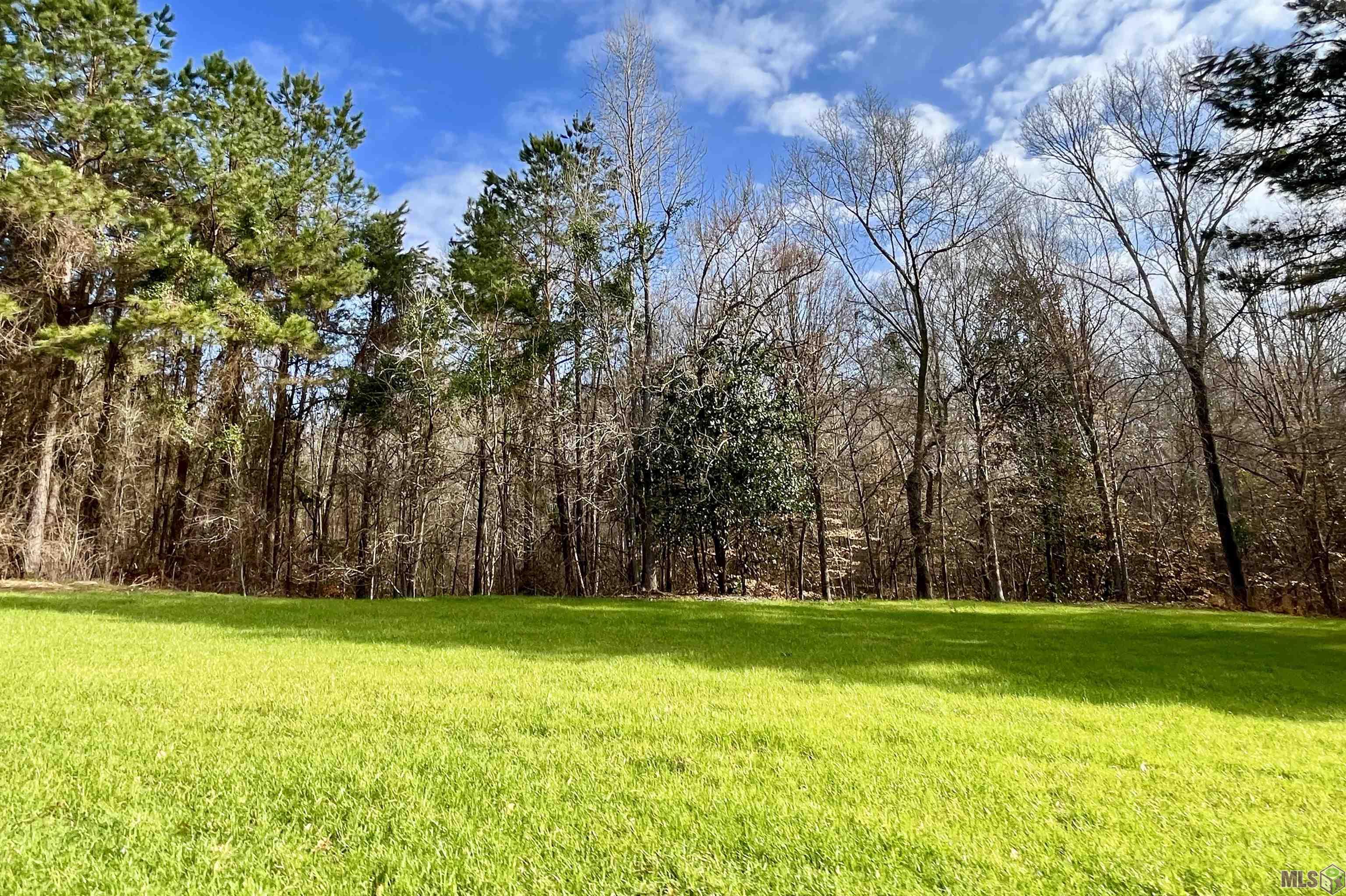 10078 Old Port Gibson Road Hermanville, MS 39086 - Photo 38 of 48