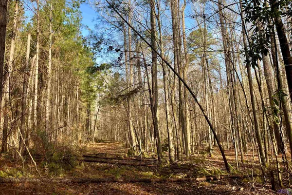 $889,000 | 10078 Old Port Gibson Road, Hermanville, MS 39086