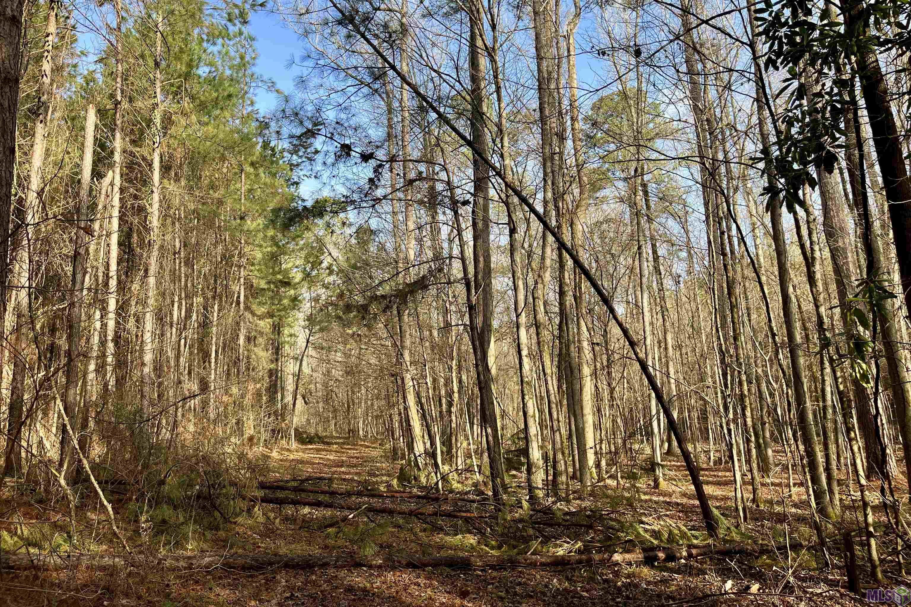 10078 Old Port Gibson Road Hermanville, MS 39086 - Photo 39 of 48