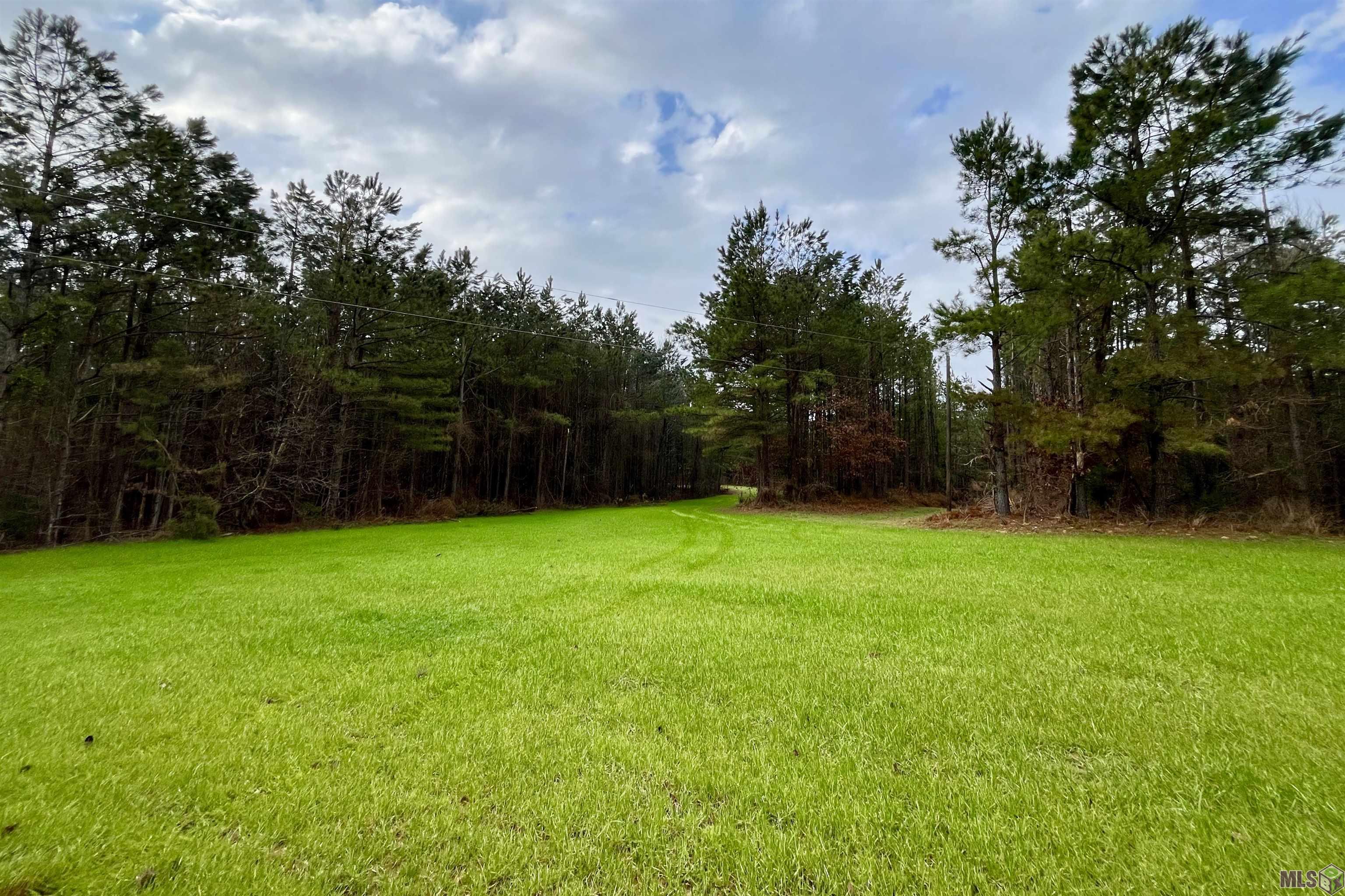 10078 Old Port Gibson Road Hermanville, MS 39086 - Photo 40 of 48