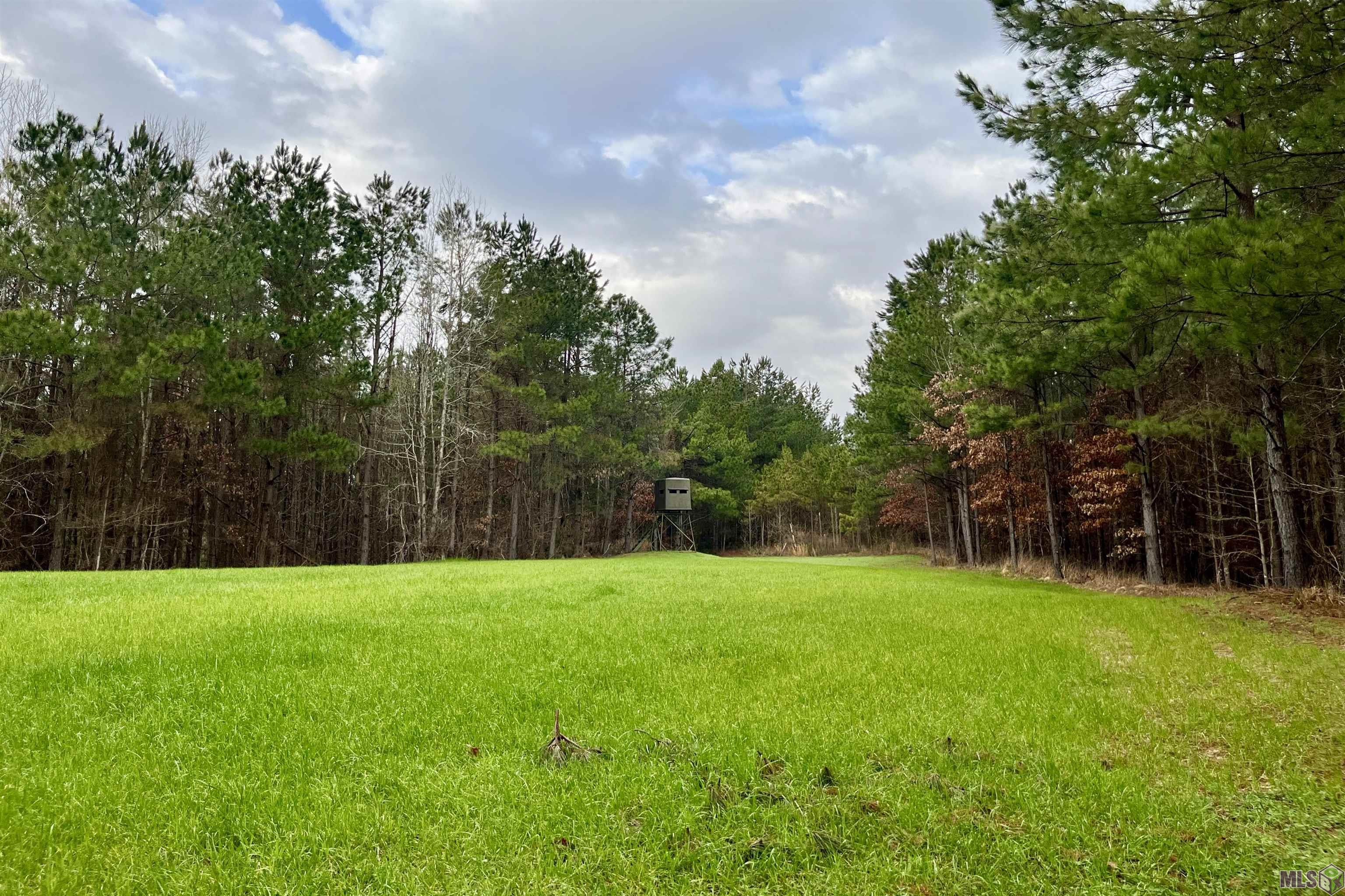10078 Old Port Gibson Road Hermanville, MS 39086 - Photo 4 of 48