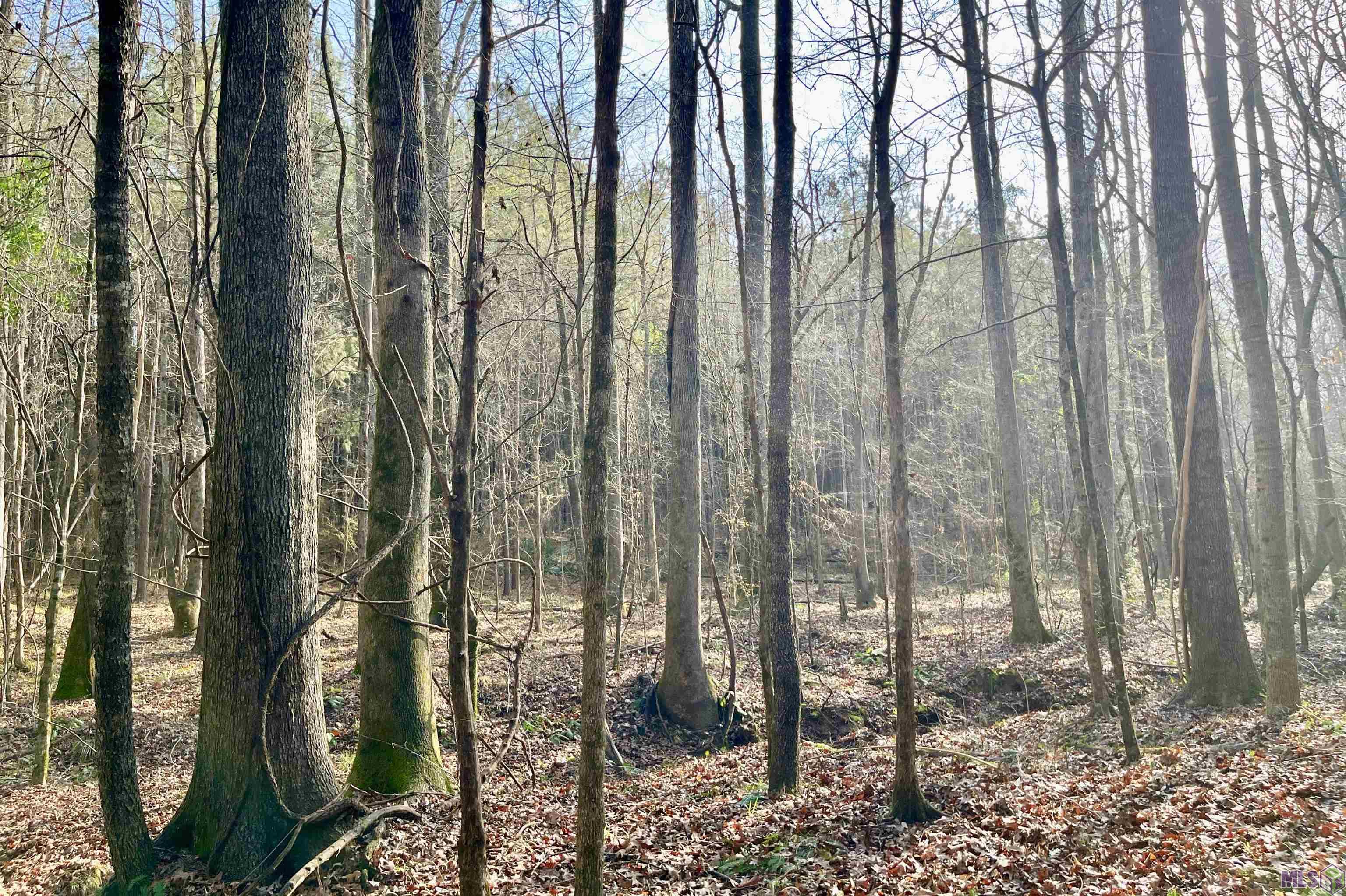 10078 Old Port Gibson Road Hermanville, MS 39086 - Photo 41 of 48